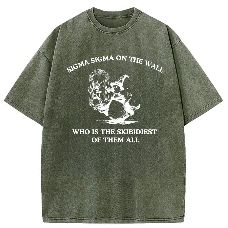 Tokyocanvas Sigma Sigma On The Wall Funny Brainrot Goose Washed T-Shirt