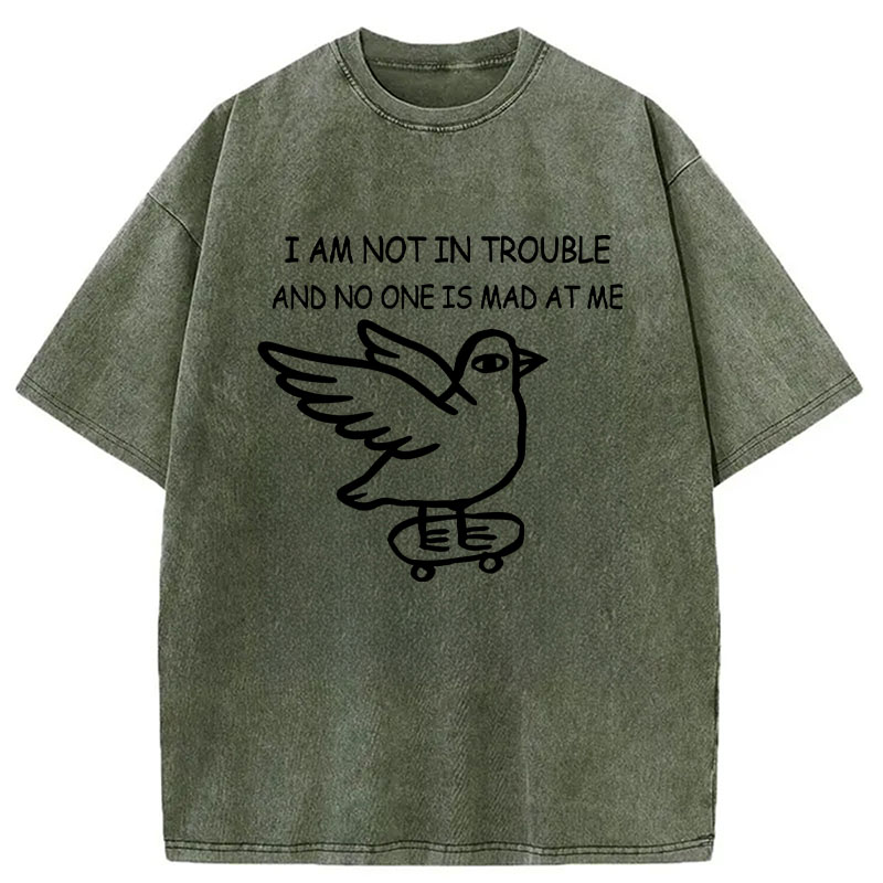 Tokyocanvas Bird Pretends It Did Nothing Wrong Washed T-Shirt