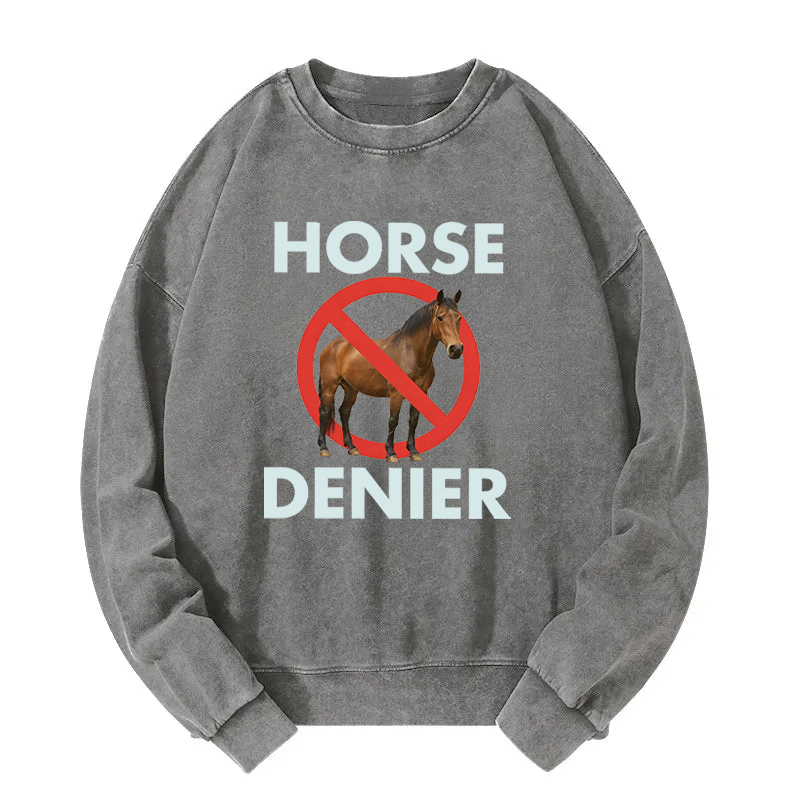 Tokyocanvas Funny Horse Denier Conspiracy Theory Washed Sweatshirt