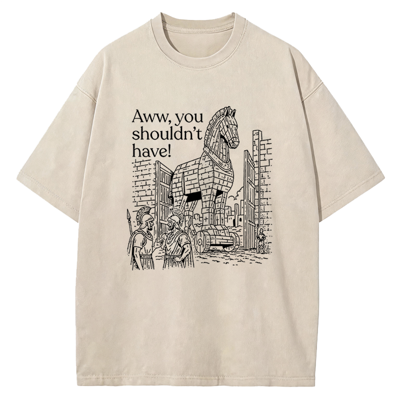Tokyocanvas Aww, You Shouldn't Have! Washed T-Shirt