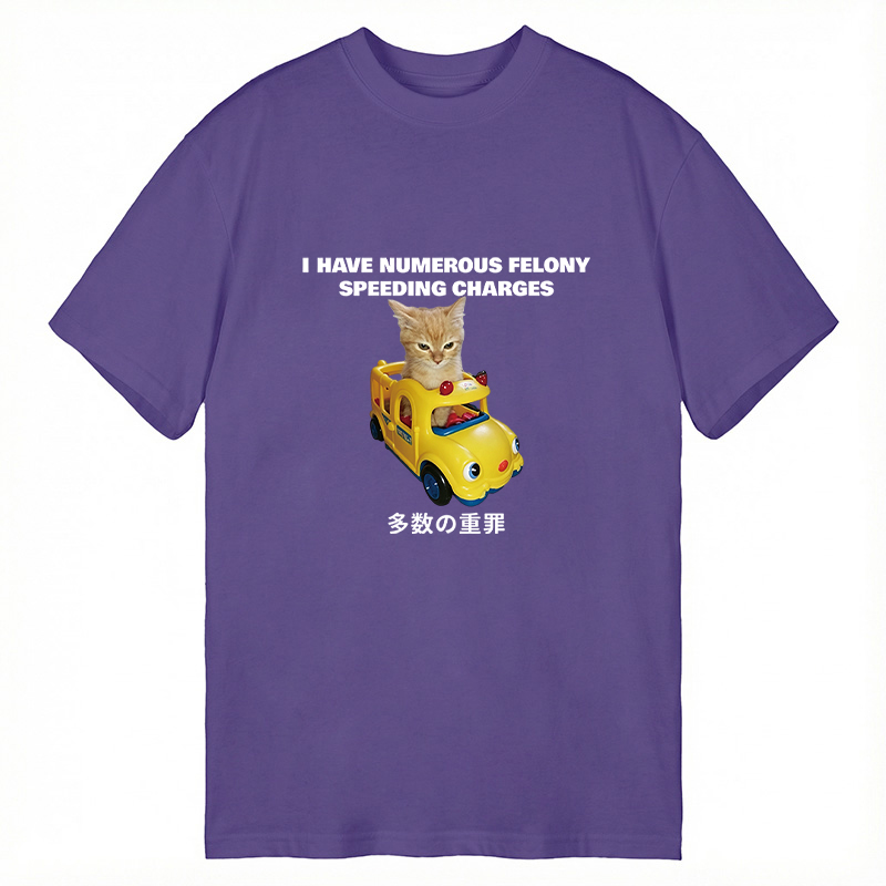 Tokyocanvas I Have Numerous Felonies For Speeding Classic T-Shirt