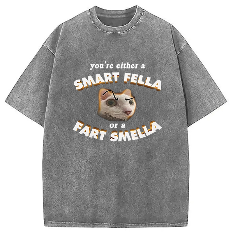 Tokyocanvas You're Either A Smart Fella Or A Fart Smella Funny Cat Washed T-Shirt