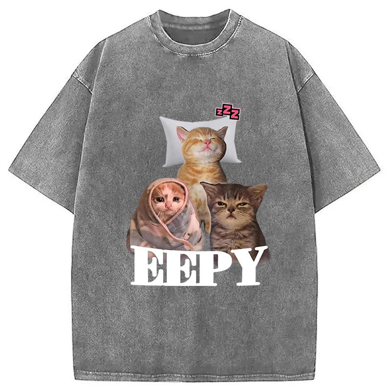Tokyocanvas Eepy Cat Meme Washed T-Shirt