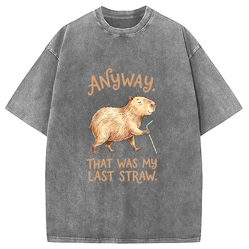 Tokyocanvas Funny Capybara Anyway that was My Last Straw Washed T-Shirt