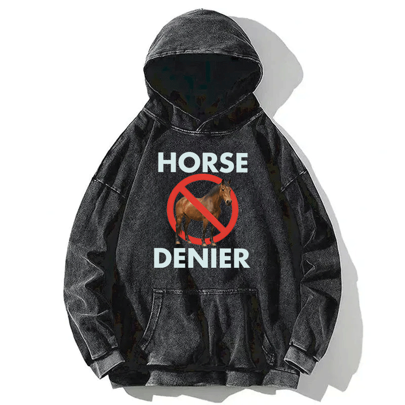 Tokyocanvas Funny Horse Denier Conspiracy Theory Washed Hoodie