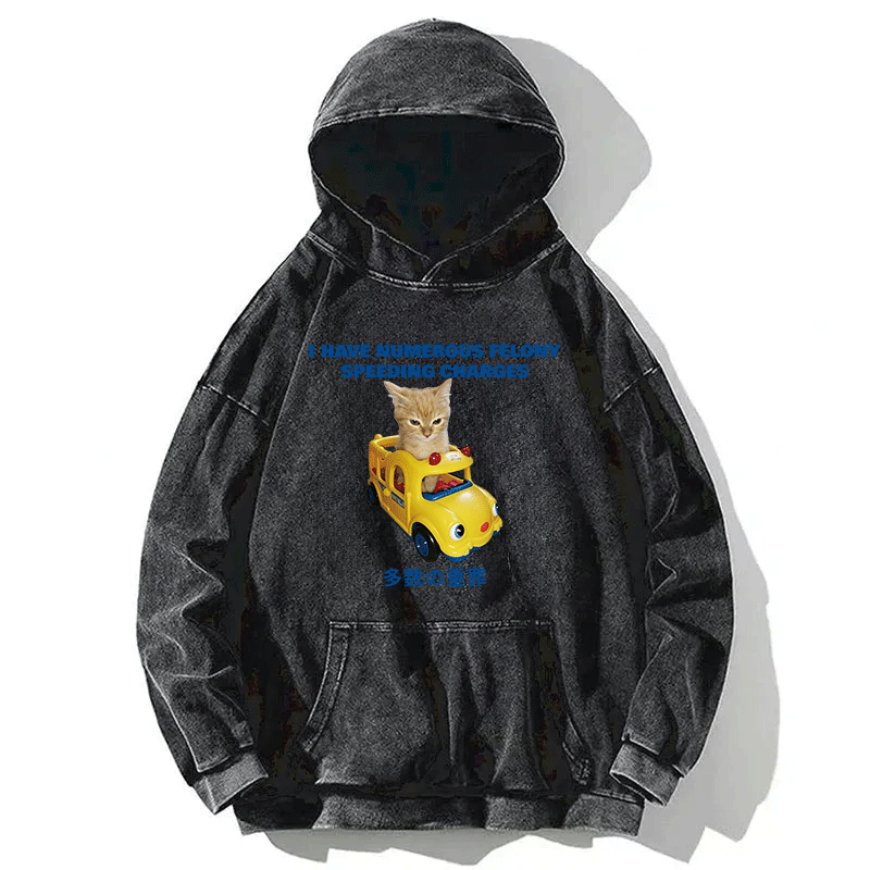 Tokyocanvas I Have Numerous Felonies For Speeding Washed Hoodie