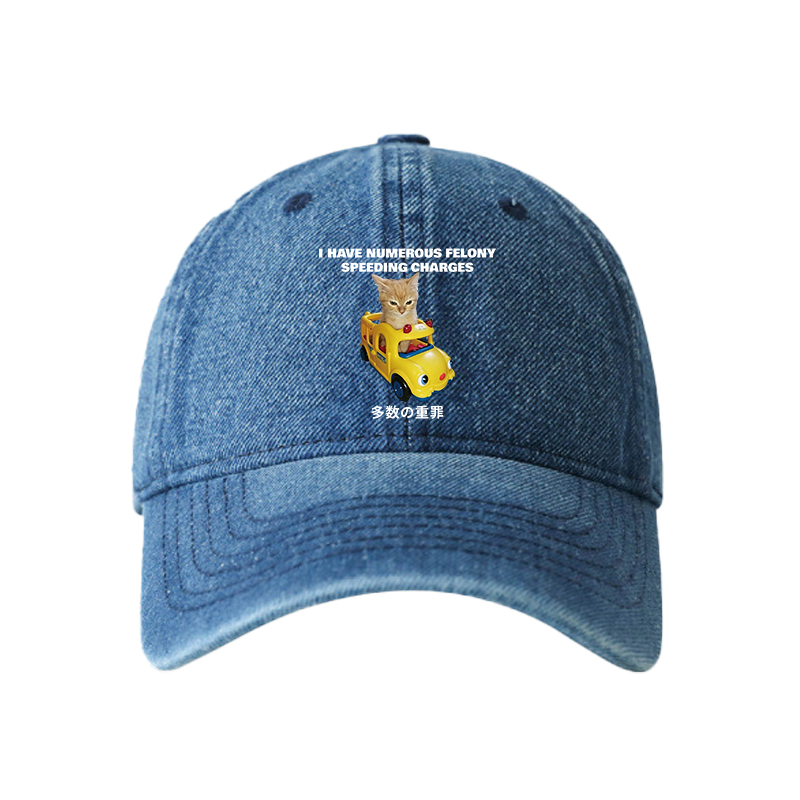 Tokyocanvas I Have Numerous Felonies For Speeding Denim Cap