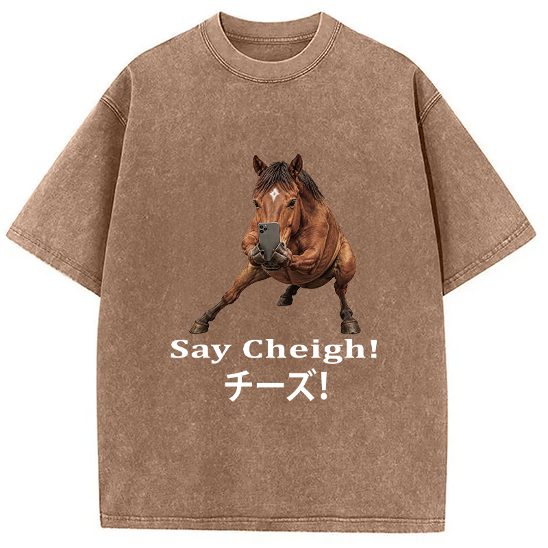Tokyocanvas Say Cheigh! Horse Meme Washed T-Shirt