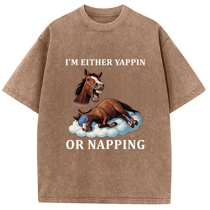 Tokyocanvas Im Either Yappin or Napping  Washed T-Shirt