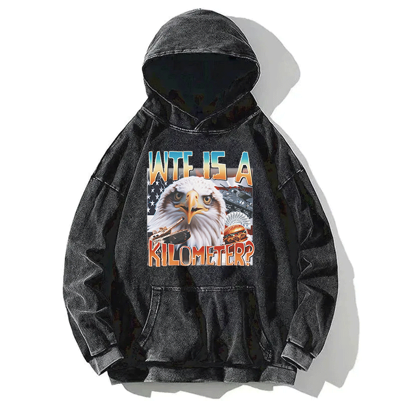 Tokyocanvas Funny America Freedom Eagle Meme Washed Hoodie