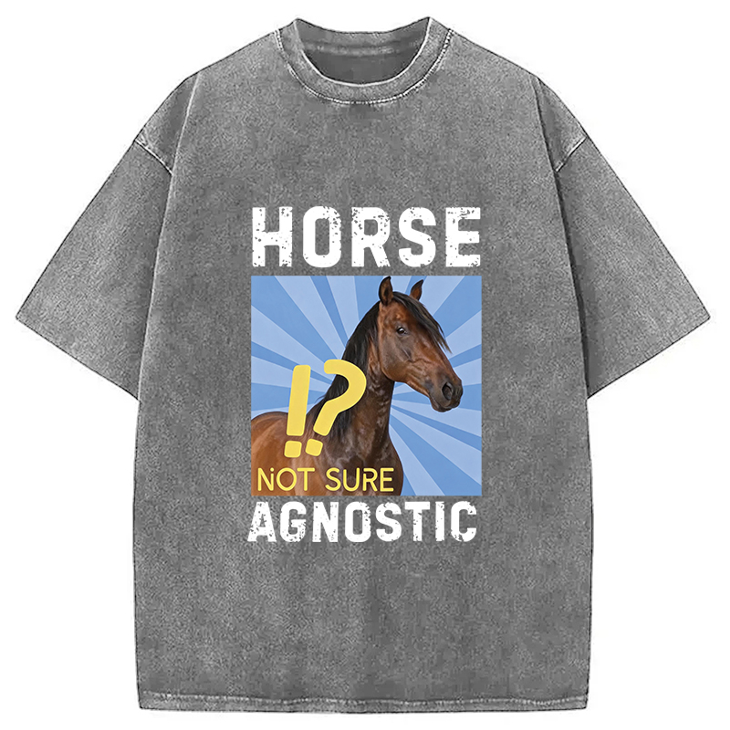 Tokyocanvas Horse Agnostic, Not Sure Essential Washed T-Shirt