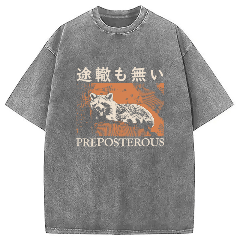 Tokyocanvas Preposterous Raccoon Washed T-Shirt