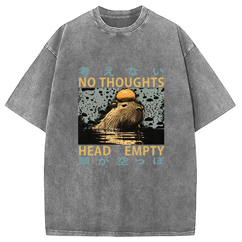 Tokyocanvas No Thoughts Head Empty Washed T-Shirt