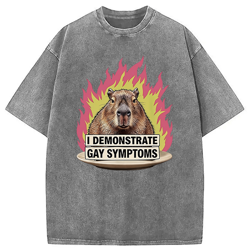 Tokyocanvas I Demonstrate Gay Symptoms Funny Washed T-Shirt