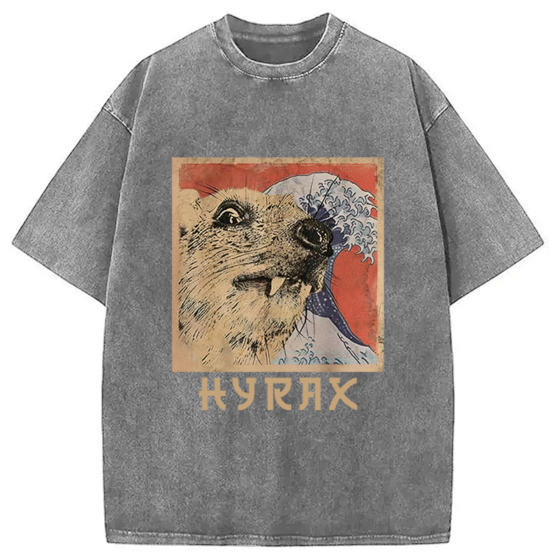 Tokyocanvas Hyrax Japanese Vintage Washed T-Shirt