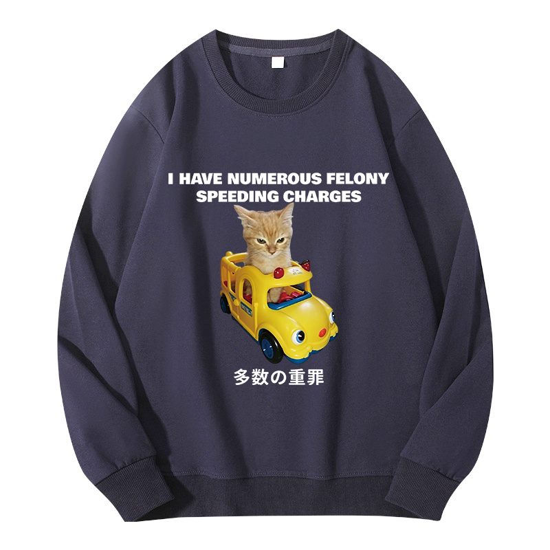 Tokyocanvas I Have Numerous Felonies For Speeding Classic Sweatshirt