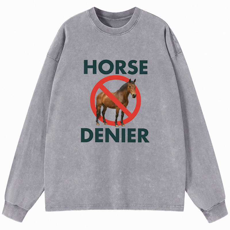 Tokyocanvas Funny Horse Denier Conspiracy Theory Long Sleeve Washed T-Shirt