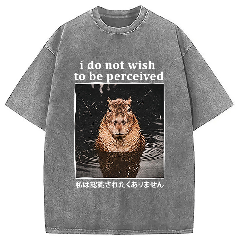 Tokyocanvas I Do Not Wish to Be Perceived Capybara Washed T-Shirt