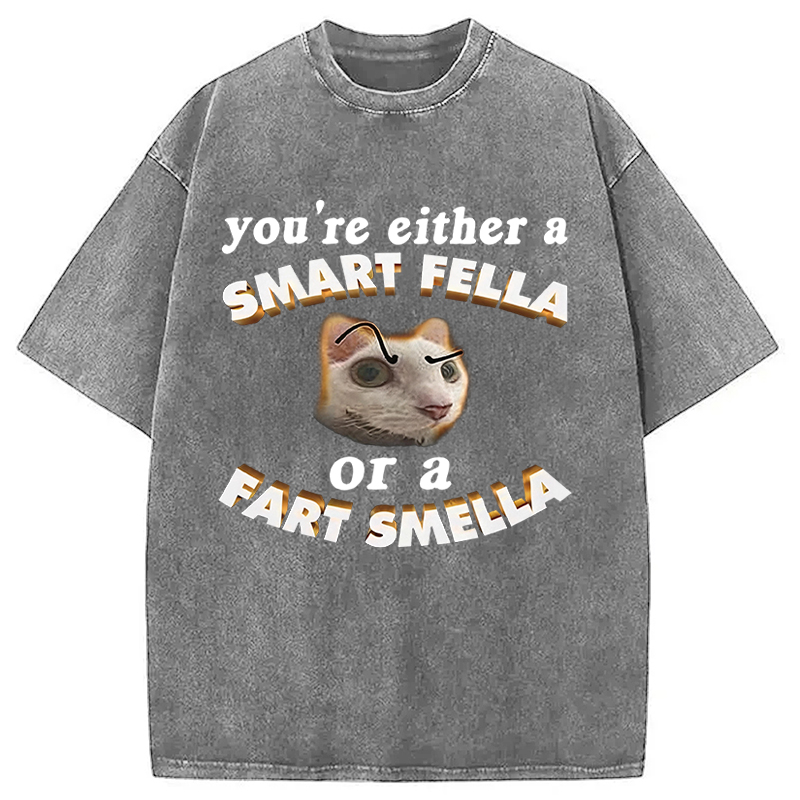 Tokyocanvas You're Either A Smart Fella Or A Fart Smella Funny Cat Washed T-Shirt