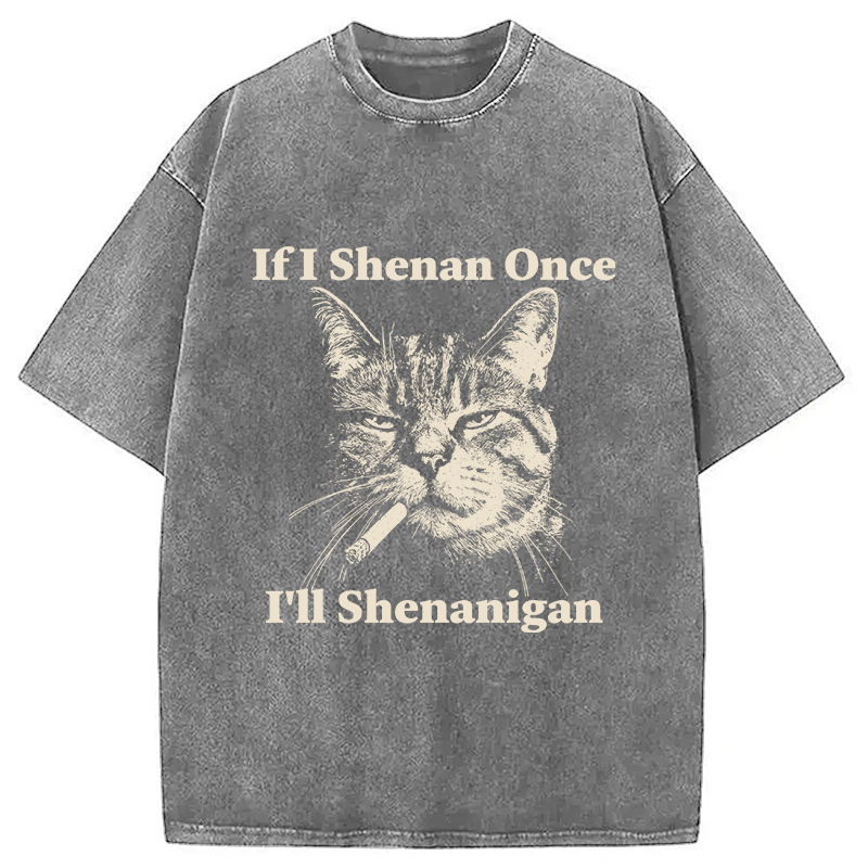 Tokyocanvas If I Shenan Once I'll Shenanigan Cat Washed T-Shirt