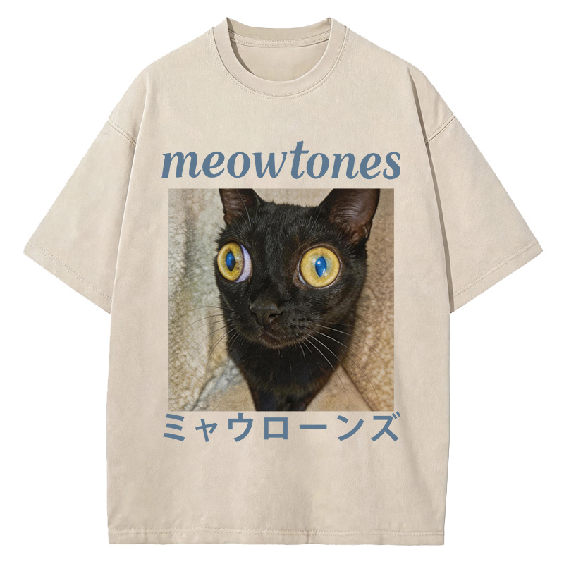 Tokyocanvas Meowlones Washed T-Shirt