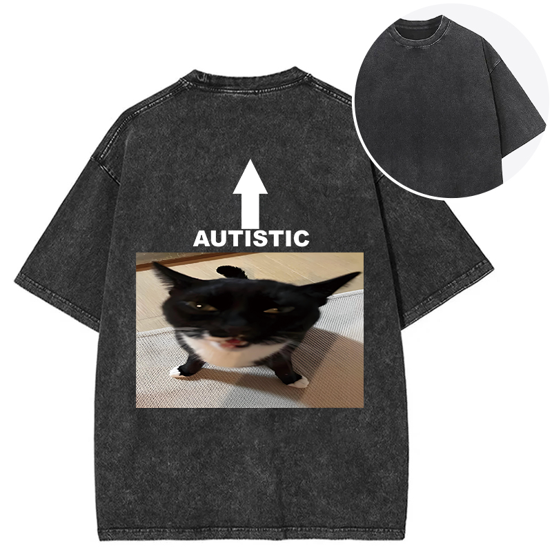 Tokyocanvas Autistic Cat Back Washed T-Shirt