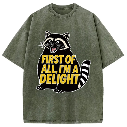 Tokyocanvas First of All I'm a Delight Raccoon Washed T-Shirt