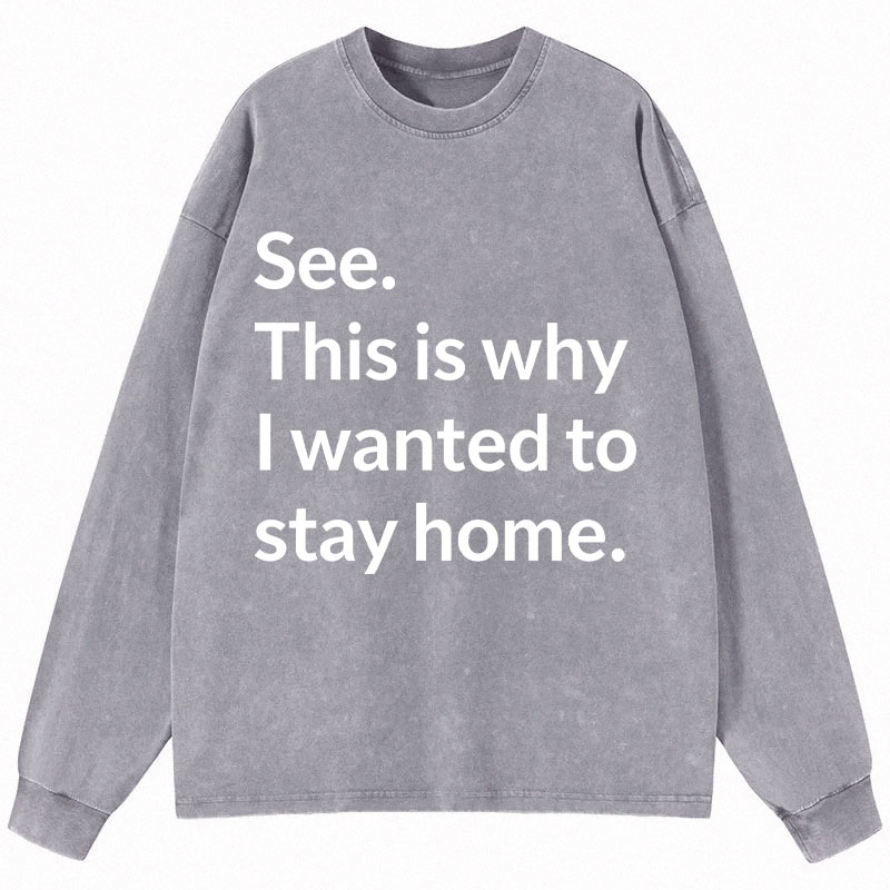 Tokyocanvas Why I Wanted To Stay Home Long Sleeve Washed T-Shirt