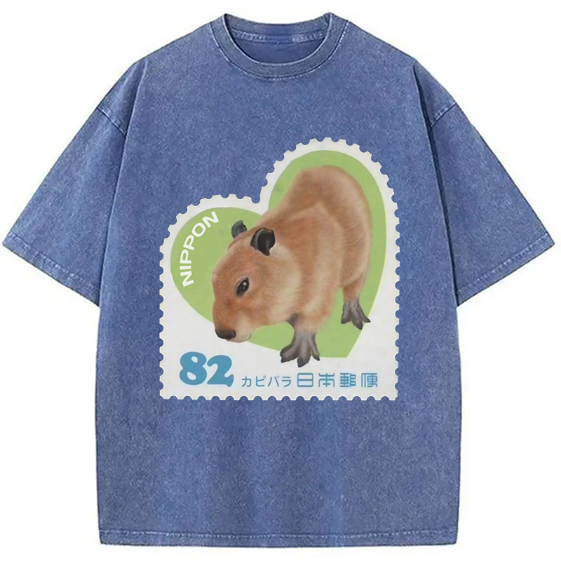 Tokyocanvas Japanese Capybara Washed T-Shirt
