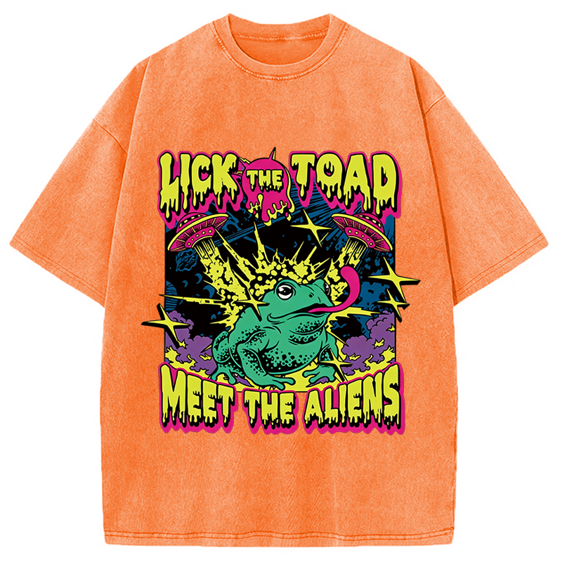 Tokyocanvas Psychedelic Frog Washed T-Shirt