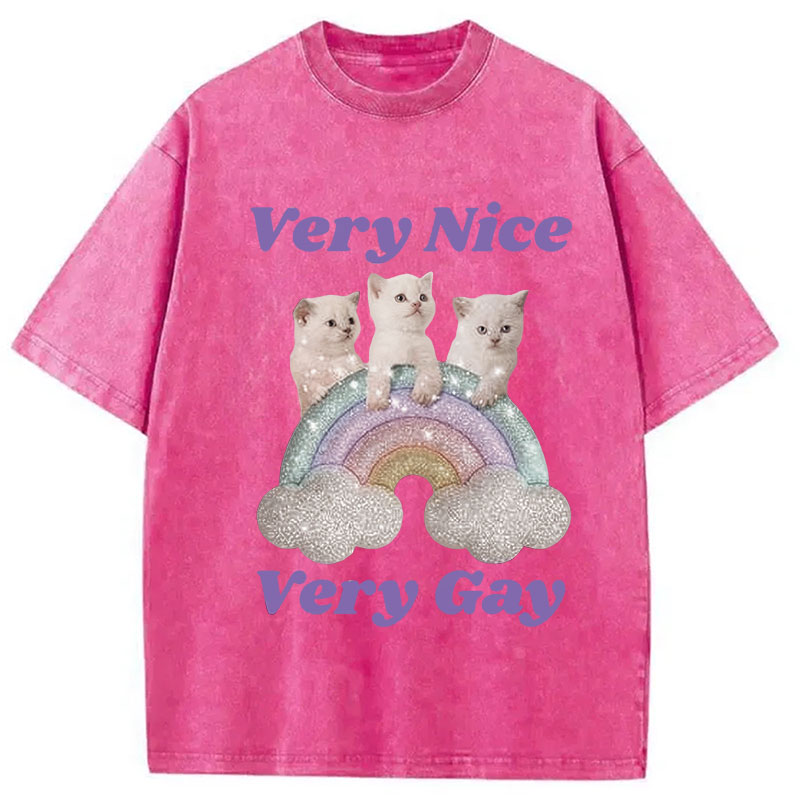 Tokyocanvas Very Nice Very Gay Washed T-Shirt