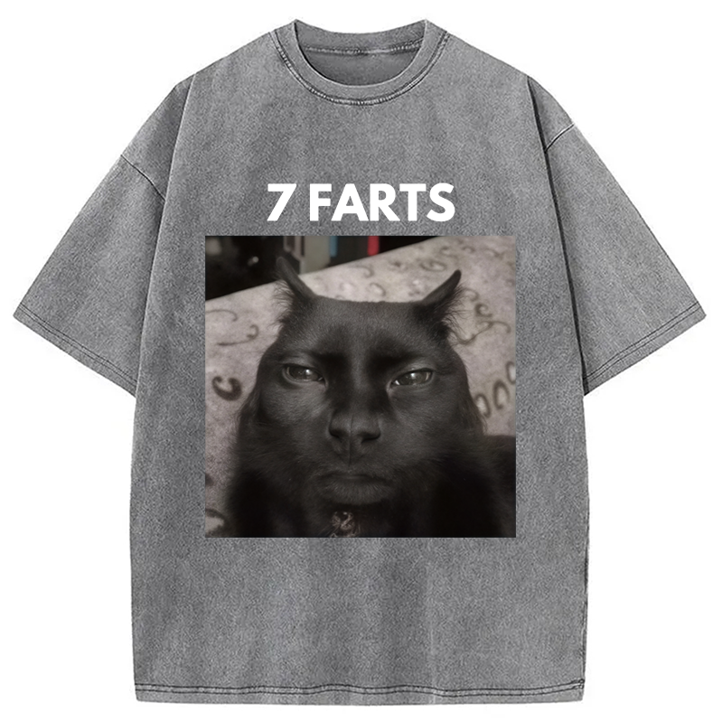 Tokyocanvas 7 Farts Silly Meme Cat Washed T-Shirt