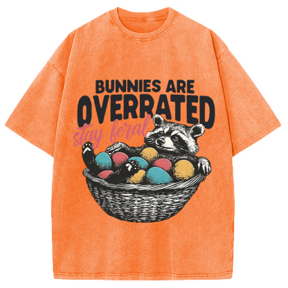 Tokyocanvas Funny Easter Raccoon Washed T-Shirt