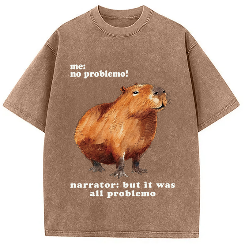 Tokyocanvas All Problemo, No Panic Washed T-Shirt