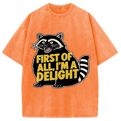 Tokyocanvas First of All I'm a Delight Raccoon Washed T-Shirt