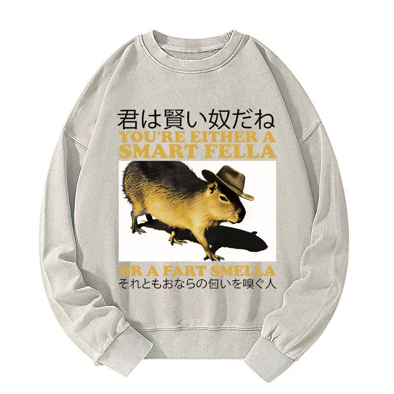 Tokyocanvas Smart Fella Fart Smella Capybara Washed Sweatshirt