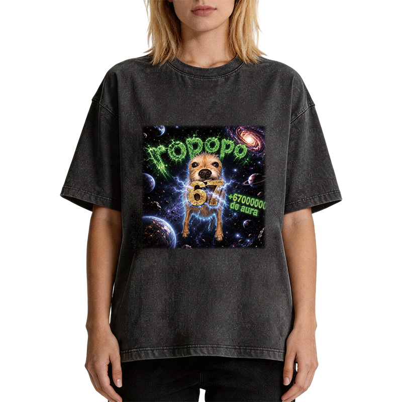 Tokyocanvas Ropopo Aura Dog Washed T-Shirt