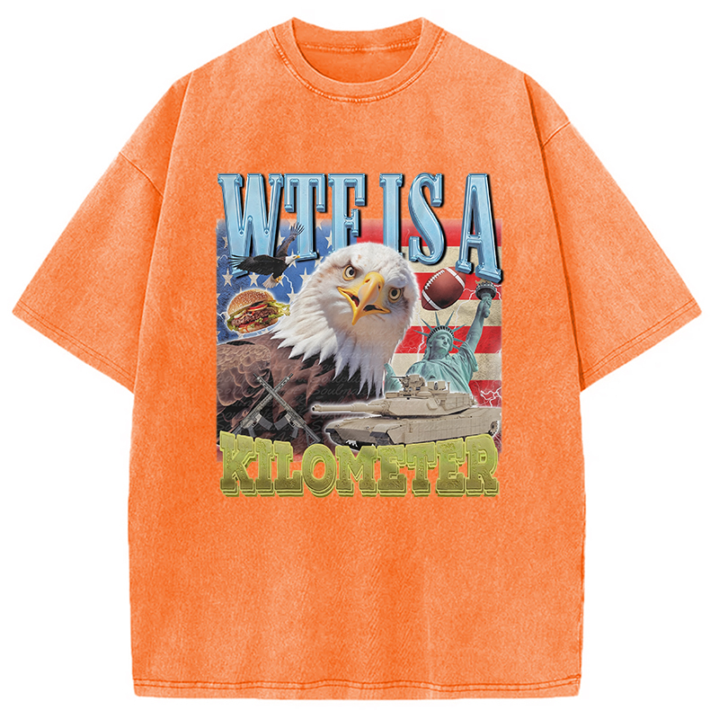 Tokyocanvas Funny Eagle Meme Washed T-Shirt