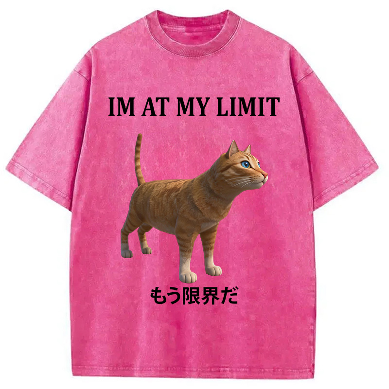 Tokyocanvas Poly Cat At My Limit Washed T-Shirt