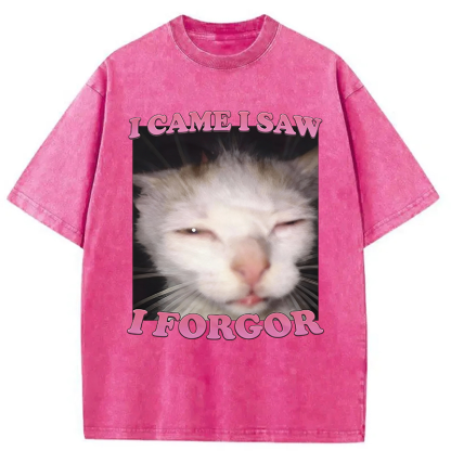 Tokyocanvas I Forgor Funny Cat Meme Washed T-Shirt