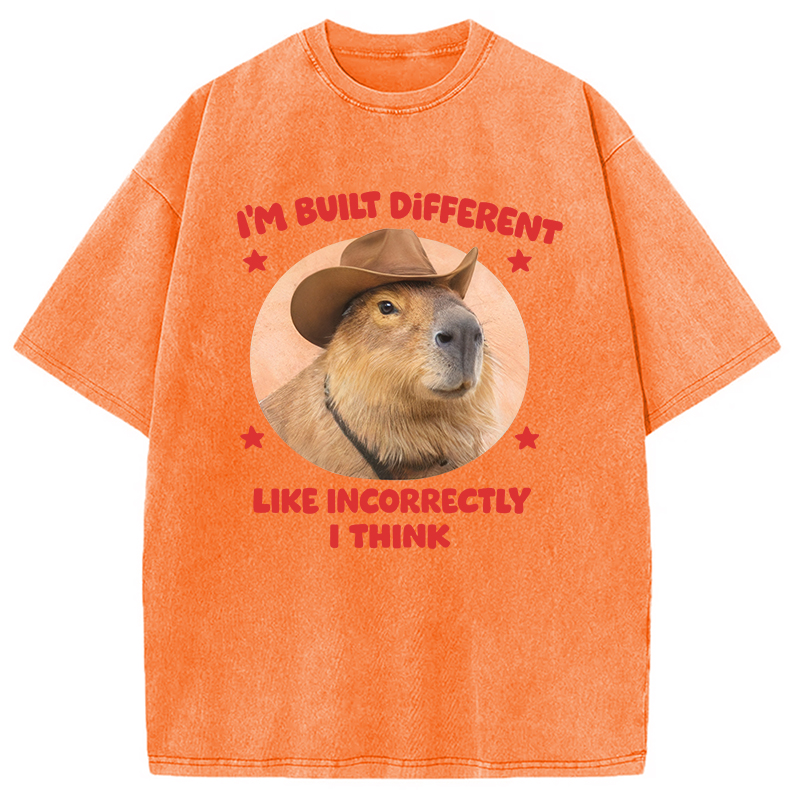 Tokyocanvas I'm Built Different Like Incorrectly Capybara Washed T-Shirt