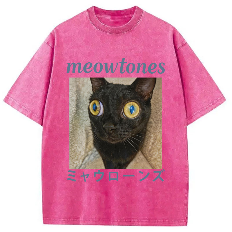 Tokyocanvas Meowlones Washed T-Shirt