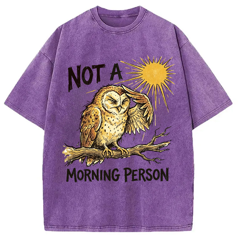 Tokyocanvas Grumpy Owl Not A Morning Person Funny Washed T-Shirt
