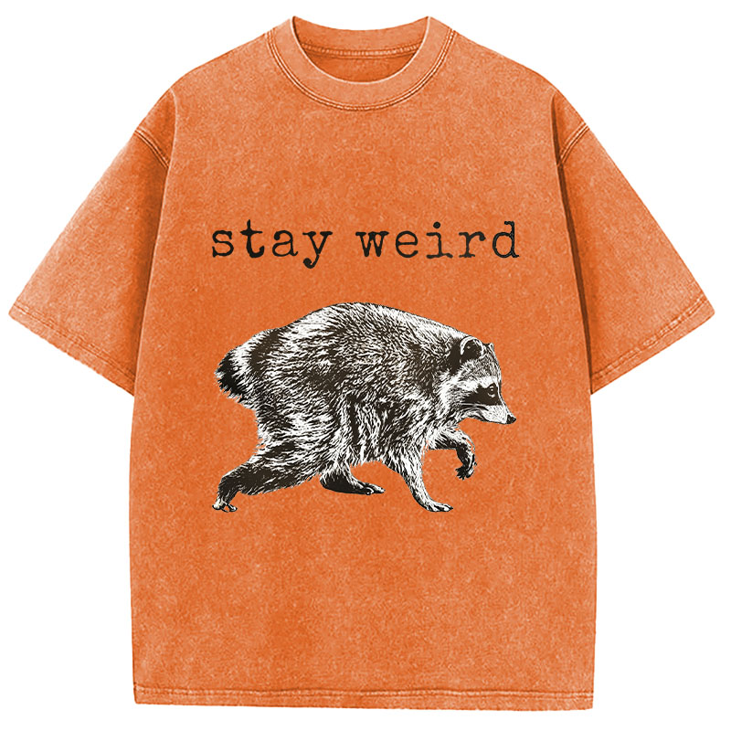 Tokyocanvas Stay Weird Funny Washed T-Shirt