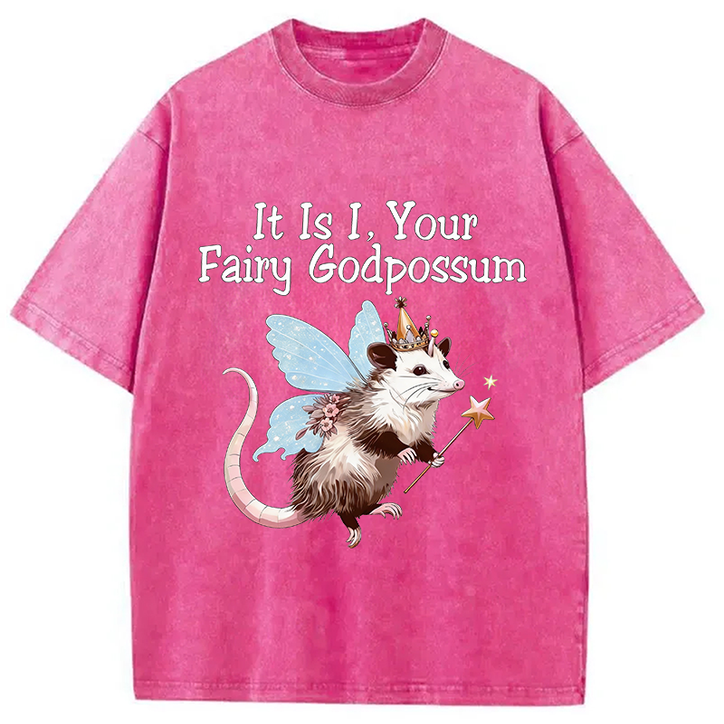 Tokyocanvas It Is I Your Fairy Godpossum Washed T-Shirt