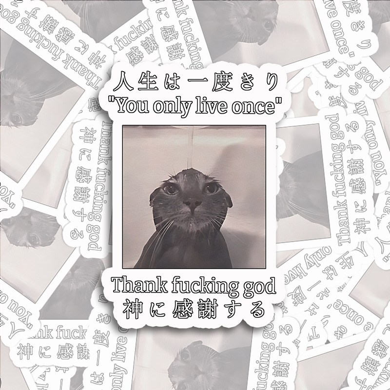 Tokyocanvas Funny Melancholy Cat Sticker