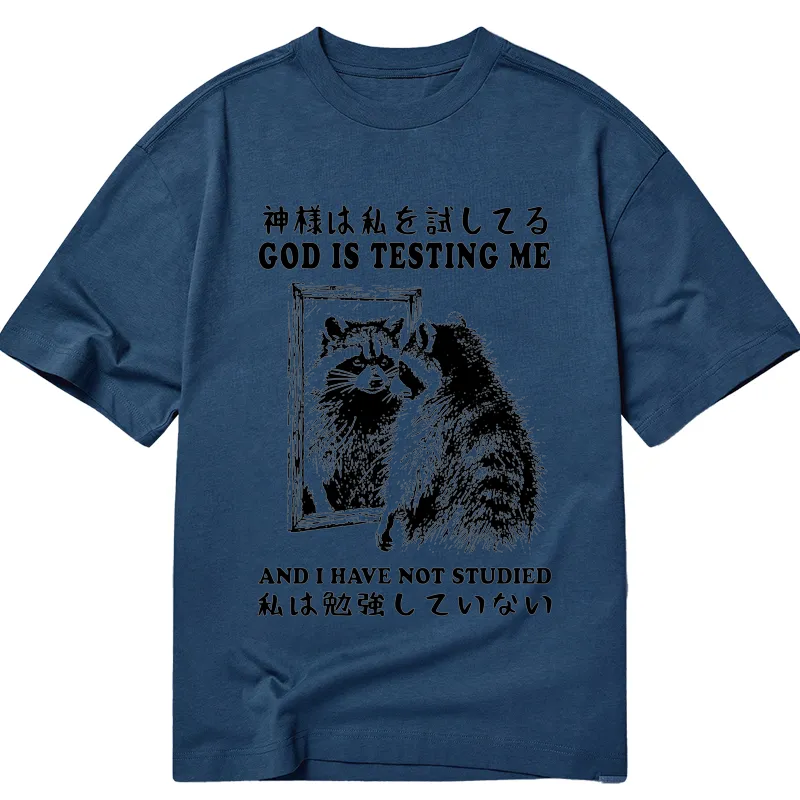Tokyocanvas Raccoon Not Studied Classic T-Shirt