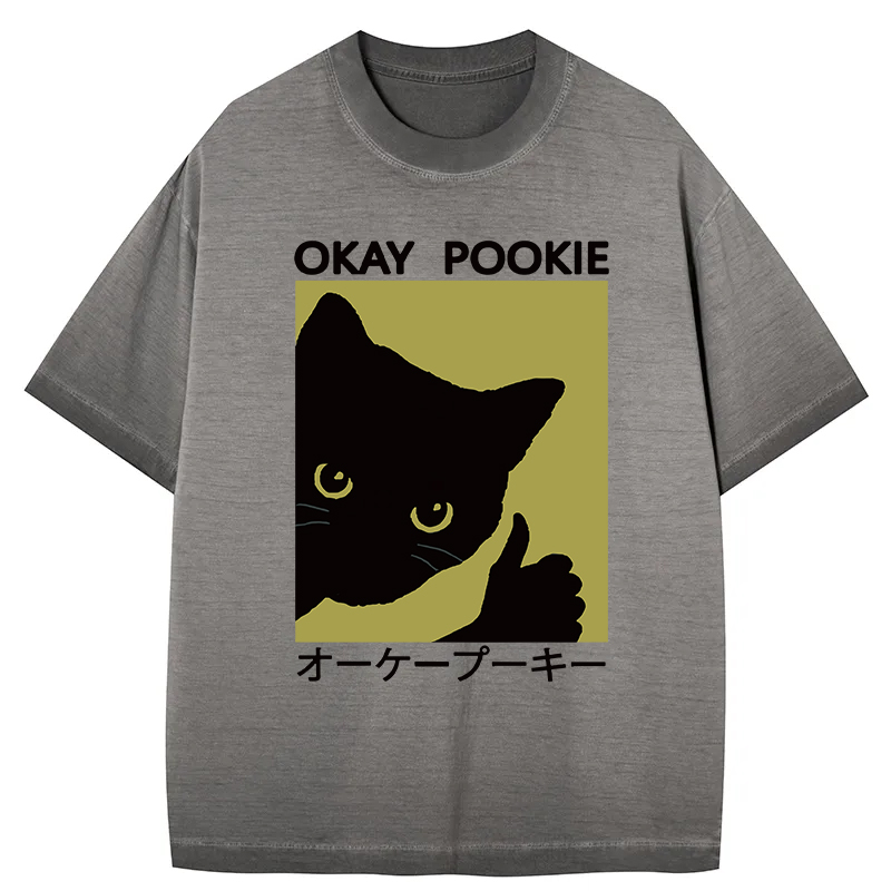 Tokyocanvas Okay Pookie Cat Gradient Washed T-Shirt