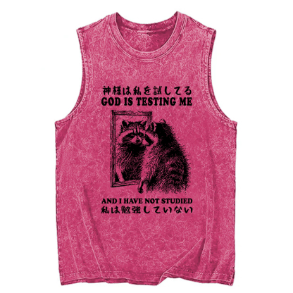 Tokyocanvas Raccoon Not Studied Washed Tank