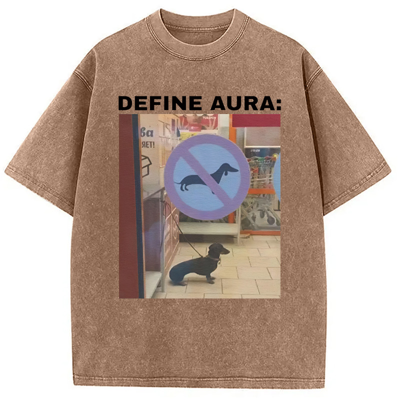 Tokyocanvas Define Aura Funny Washed T-Shirt